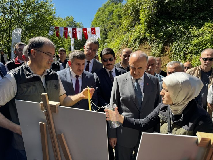 Ordu'da kestane ormanlarına gal arısıyla mücadele için faydalı böcek salındı