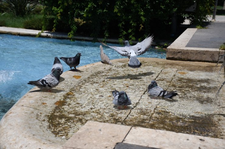 Adana'da hava sıcaklığı 40 dereceyi aştı