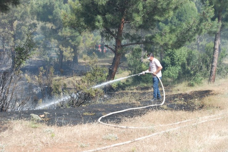 GÜNCELLEME - Çanakkale'nin Bayramiç ilçesinde tarım arazisinde çıkan yangın söndürüldü