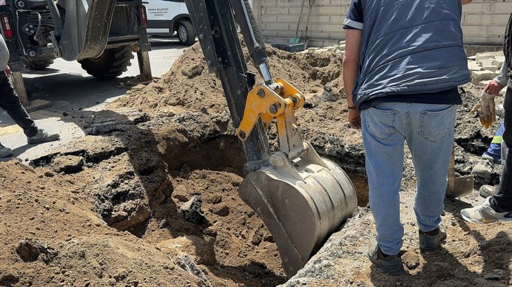 Isparta'da yağmur suyu giderine düşen yavru köpek kurtarıldı