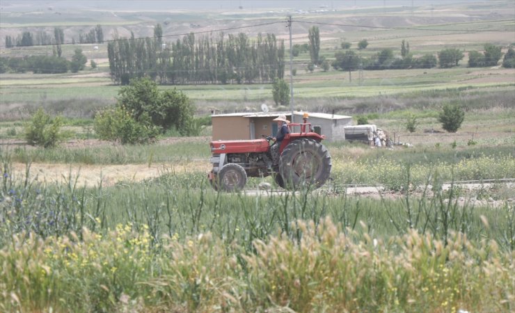 Mahallenin çiftçi kadınları traktörleriyle tarla yollarını aşındırıyor