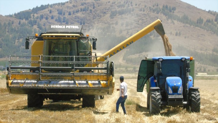 Gaziantep'te hububat hasadı başladı