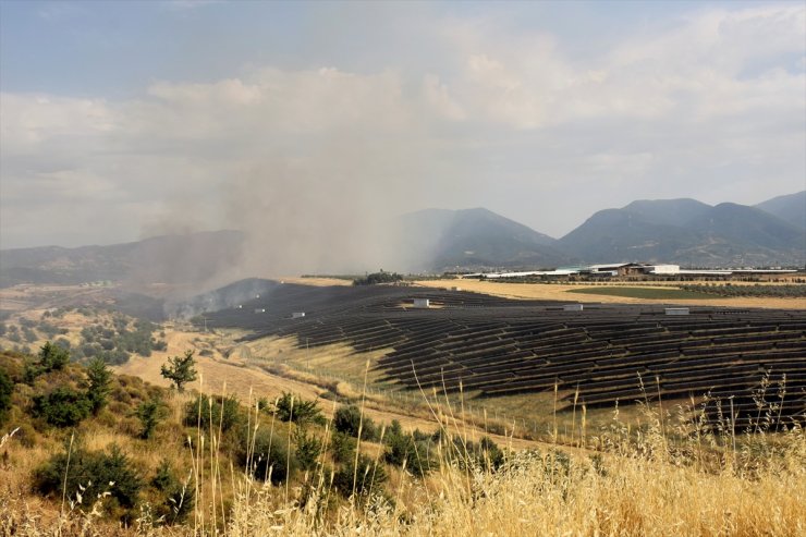 Manisa'da 50 hektarlık makilik ve otluk alan yandı, 1 şüpheli gözaltına alındı