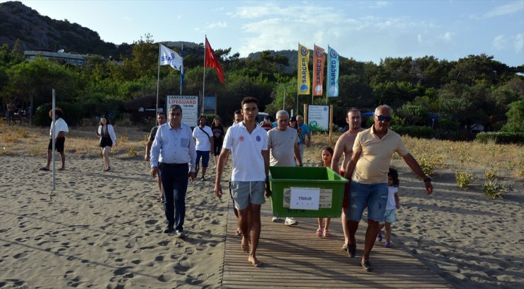 Muğla'da tedavileri tamamlanan 2 caretta caretta denizle buluştu