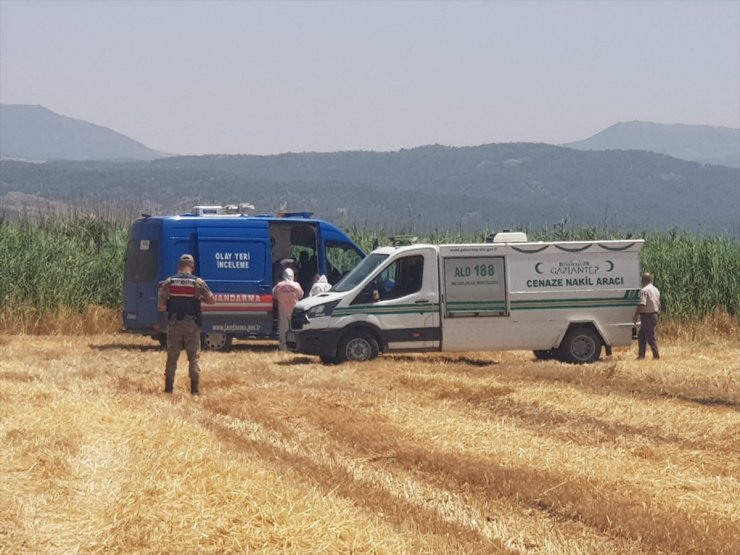 Gaziantep'te sazlık alanda erkek cesedi bulundu