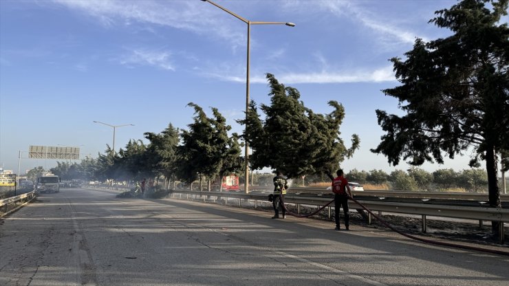 Mersin'de refüjdeki ağaçlarda çıkan yangın söndürüldü