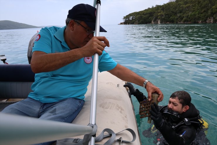 Muğla'da deniz dibinden 17 ton çöp çıkarıldı