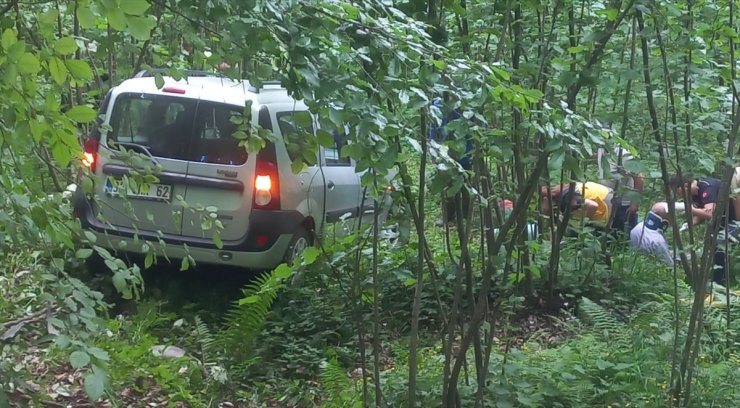 Ordu'da hafif ticari aracın ağaca çarptığı kazada 3 kişi yaralandı