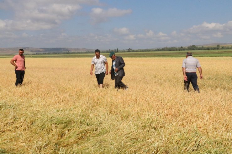 Yozgat'ın köylerinde etkili olan dolu ekili alanlara büyük zarar verdi