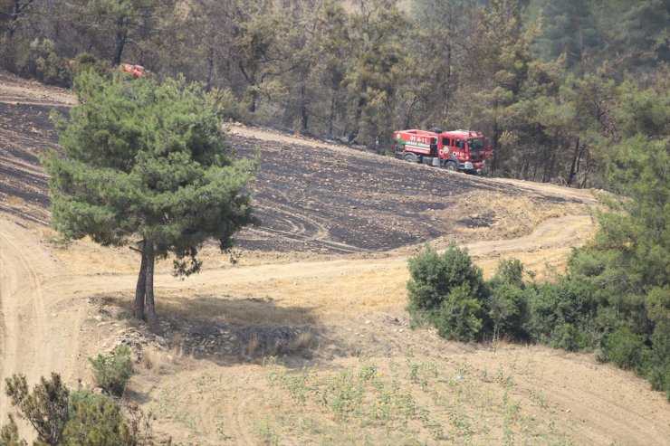 GÜNCELLEME - Adana'da çıkan orman yangını kontrol altına alındı