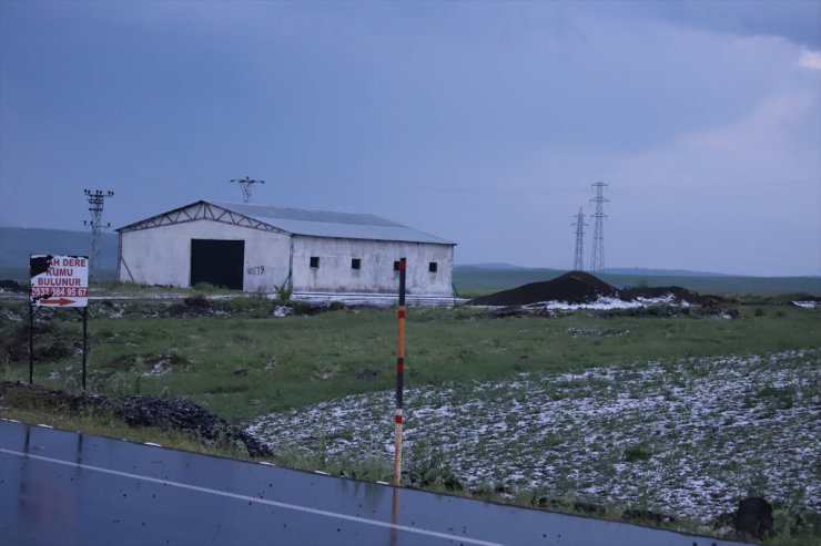 Kars’ta etkili olan dolu tarım arazilerine zarar verdi