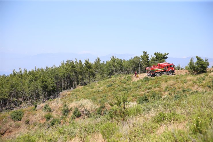 Hatay'da çıkan orman yangını kontrol altına alındı