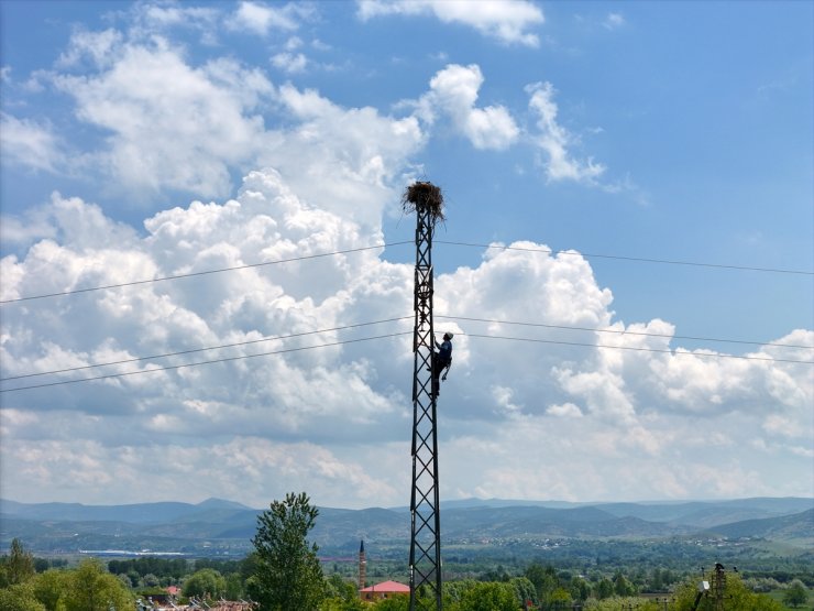 Kuşları korumak ve kesintisiz enerji için direklere izolasyon yapılıyor