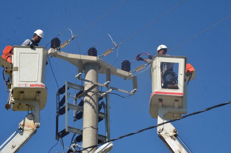 Muş'ta kuşların akıma kapılmaması için elektrik hatları daha güvenli hale getiriliyor