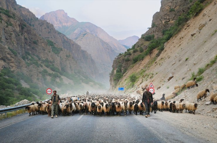 Siirtli göçerler, günler süren yolculuğun ardından Hakkari'ye ulaştı