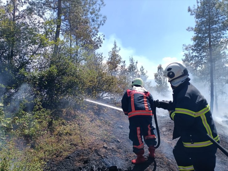 Tokat'ta ormanlık alanda çıkan yangın kontrol altına alınmaya çalışılıyor