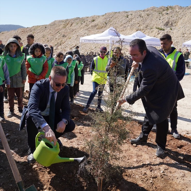 YK Enerji'nin Muğla'daki maden sahasını doğaya geri kazandırma projesinin ilk fazı tamamlandı