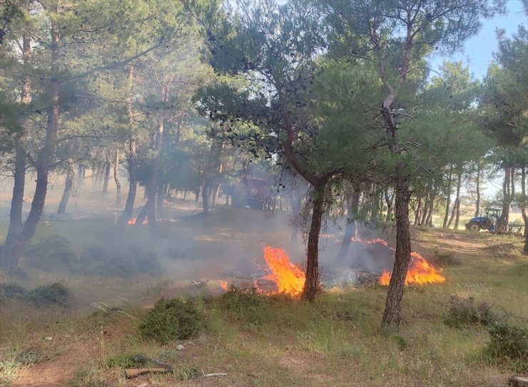 Çanakkale'de ormanlık alanda çıkan yangına müdahale ediliyor