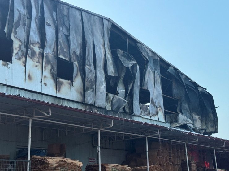 Sakarya'da kereste atölyesinde çıkan yangın söndürüldü