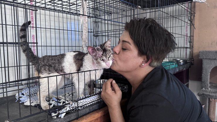 104 köpek ve 46 kediye bakan hayvansever "Şanslı"ya da evinin kapısını açtı