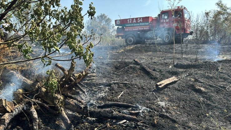 Çanakkale'de köyde otluk alanda çıkan yangın evlere sıçramadan söndürüldü