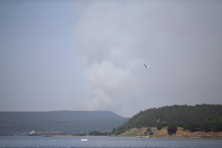 Çanakkale'de ormanlık alanda çıkan yangına müdahale ediliyor