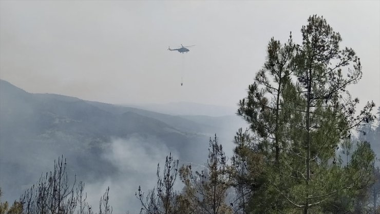 Sinop'ta çıkan orman yangınına havadan ve karadan müdahale ediliyor