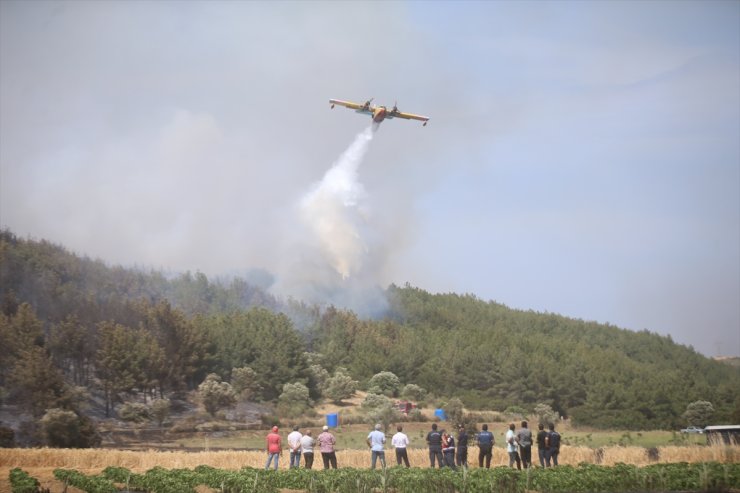 GÜNCELLEME - Çanakkale'de ormanlık alanda çıkan yangın kontrol altına alındı