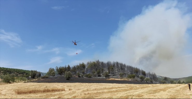 Çanakkale'de ormanlık alanda çıkan yangına müdahale ediliyor