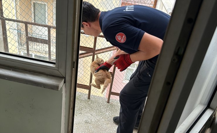 Edirne'de kullanılmayan binanın yangın merdiveninde mahsur kalan kedi yavrusu kurtarıldı