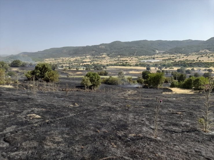 GÜNCELLEME - Manisa Demirci'de ormana sıçrayan yangın kontrol altına alındı