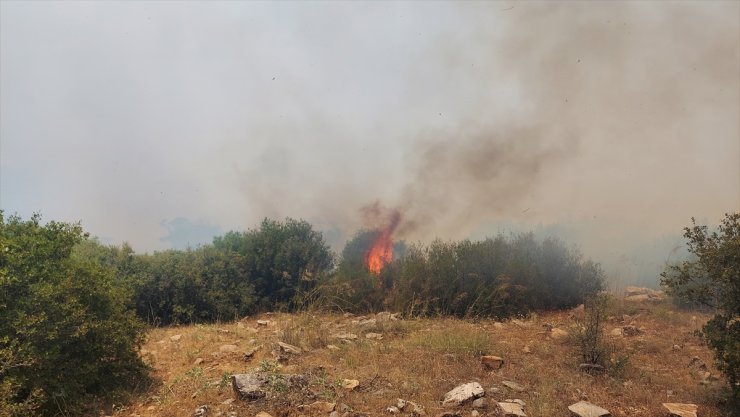 Manisa'nın Kula ilçesinde çıkan orman yangınına müdahale ediliyor