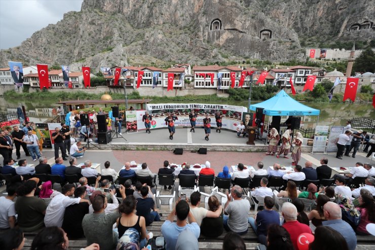 Amasya'da kiraz teşvik yarışması düzenlendi