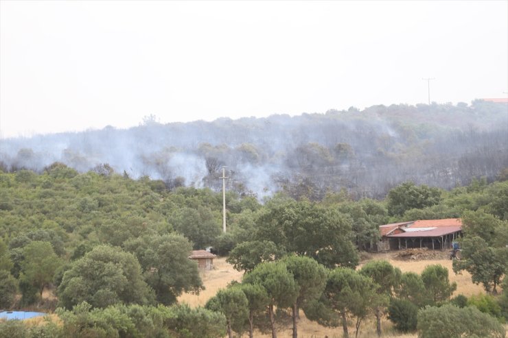 GÜNCELLEME 2 - Balıkesir'de çıkan orman yangını kontrol altına alındı