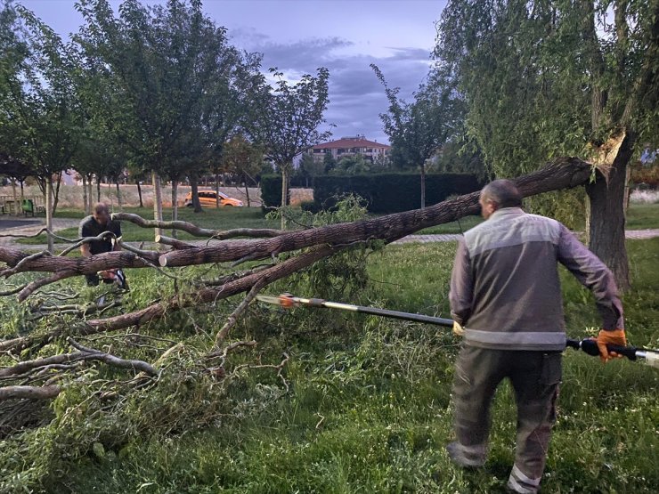 Çorum'da şiddetli rüzgar 3 ağacı devirdi, bir binanın çatısı uçtu