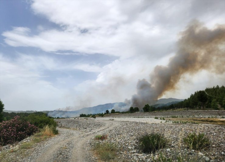 Muğla'nın Menteşe ilçesinde orman yangını çıktı