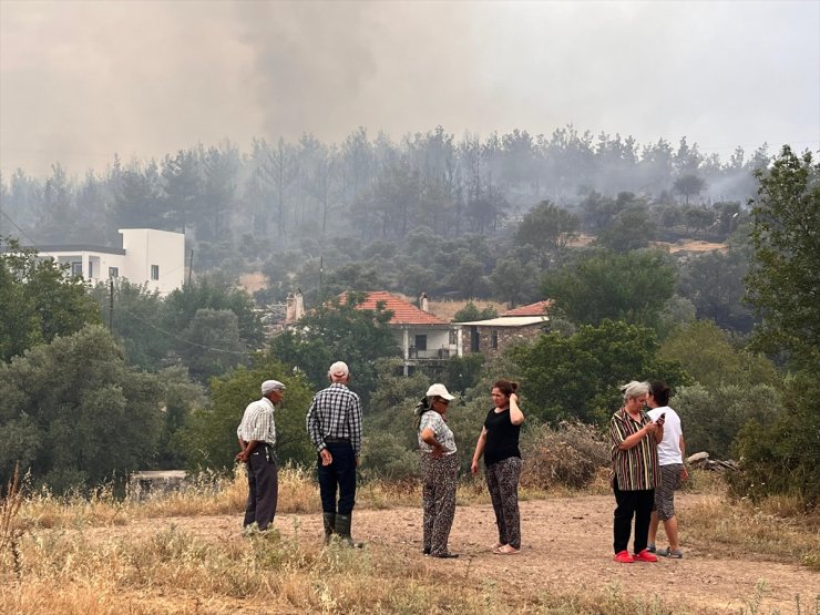 GÜNCELLEME - Muğla'nın Milas ilçesinde orman yangını çıktı