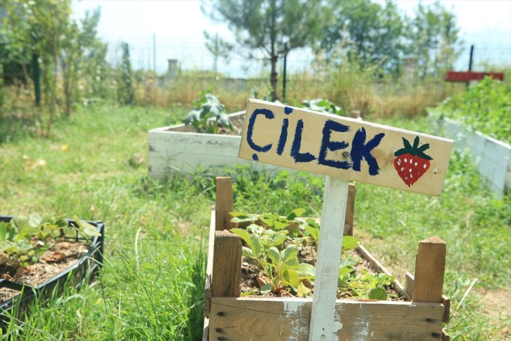 Sakarya'da ortaokul öğrencileri "Harezmi Eğitim Modeli" ile toprağa dokundu