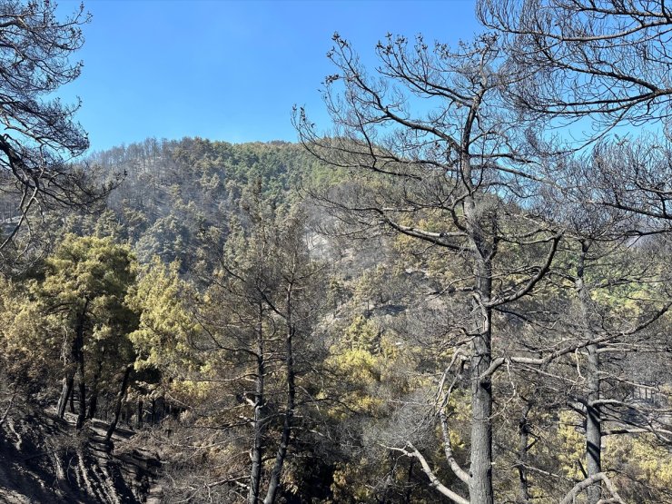 Bakan Yumaklı, Babadağ'daki orman yangınının kontrol altına alındığını bildirdi