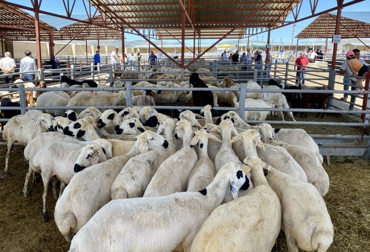 İç Anadolu'daki kurban pazarlarında arife günü hareketlilik yaşandı