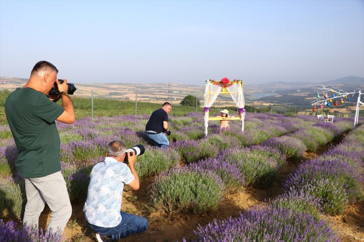 Tekirdağ'ın mor tarlalarında foto safari