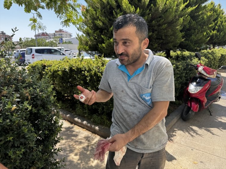 Antalya'da acemi kasaplar hastanelik oldu