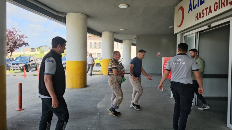 Erzurum ve Erzincan'da "acemi kasaplar" hastanelik oldu