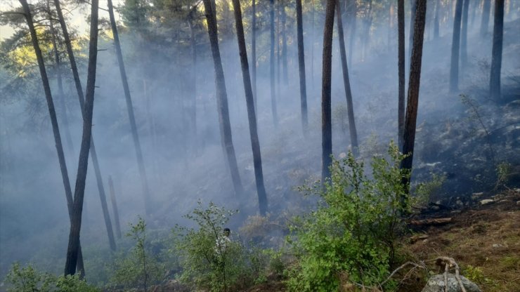 Burdur'da iki yerde çıkan orman yangını söndürüldü