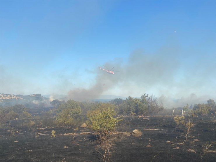 Çanakkale'de tarım arazisinden ormana sıçrayan yangın söndürüldü