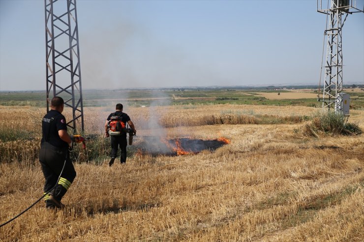 Edirne'de anız alanında başlayıp meyve bahçesine sıçraya yangın söndürüldü