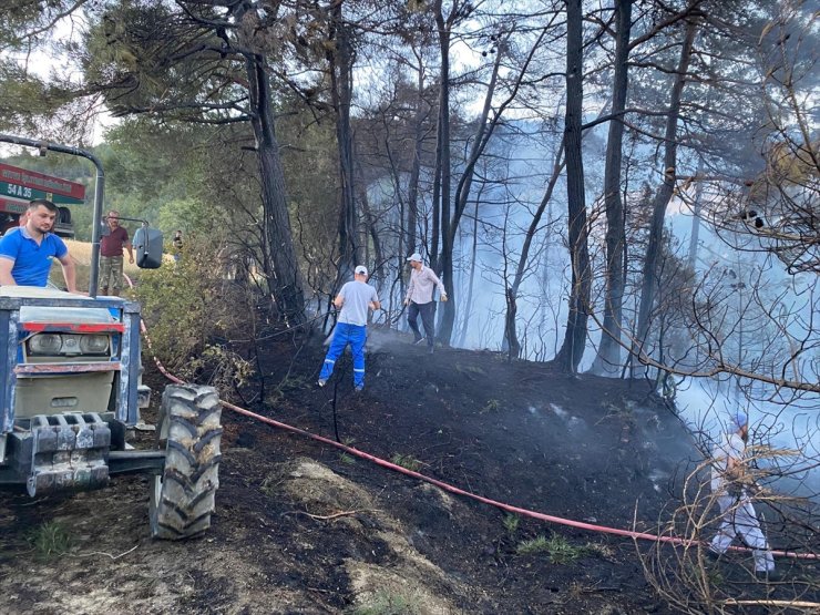 Sakarya'da 5 hektarlık ormanlık alan yandı
