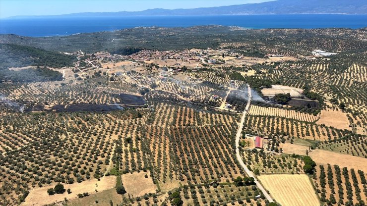 Balıkesir'de çöplükten zeytinliğe ve tarım arazisine sıçrayan yangın söndürüldü