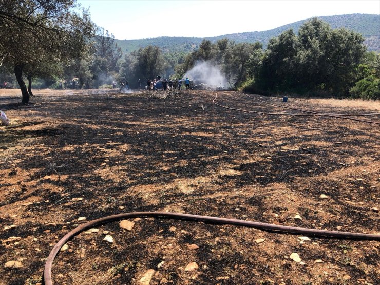 Bodrum'da zeytinlikte çıkan yangın ormanlık alana sıçramadan söndürüldü