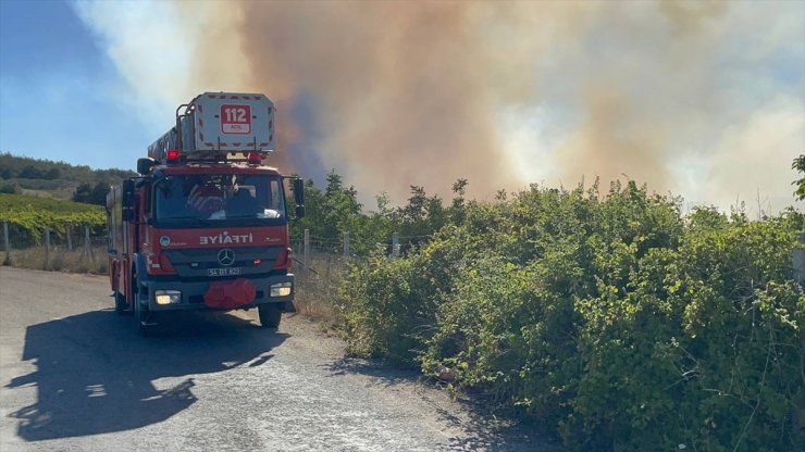 Sakarya'da ormanlık alanda çıkan yangına müdahale ediliyor